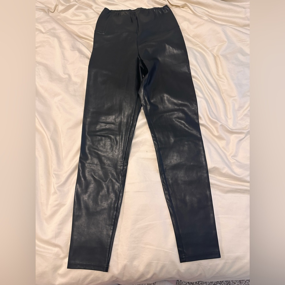 Aritzia Daria Pant